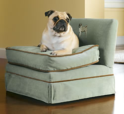 Preferred Corporate Housing provides pet friendly furnished apartments nationwide in over 6,000 cities