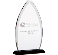 Synergy Partner Award Logo